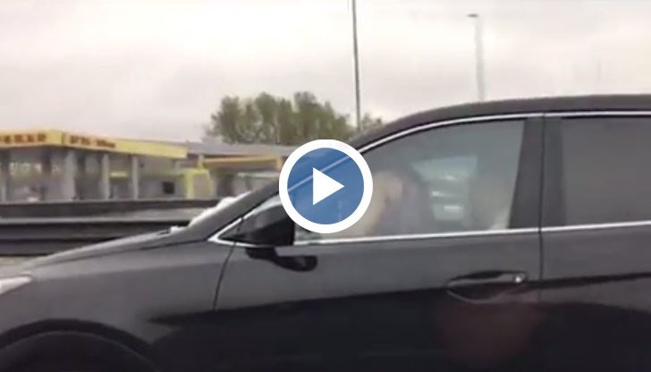 Шофьорът се наслаждава на интимните ласки, докато си кара по магистрала