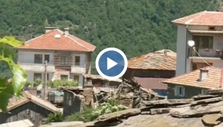 Две братчета и сестричка са "разпределени" в три семейства