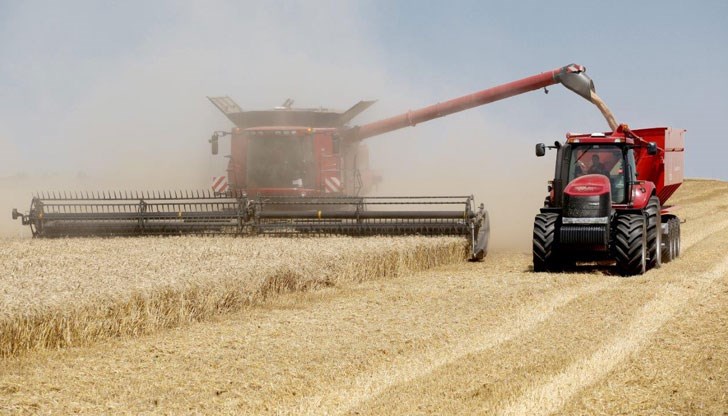 Средният добив на ечемик е 600 кг/дка