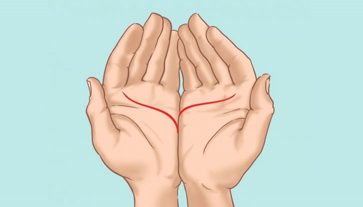 Може да разберете много за себе си от линиите на ръцете! Може да разберете много за себе си от линиите на ръцете!