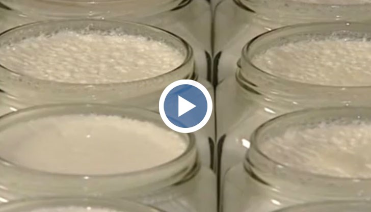 Ще узакони ли държавата това нарушение?