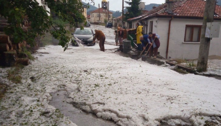 Късове с големина на орех унищожиха на 100% от селскостопанската продукция на хората