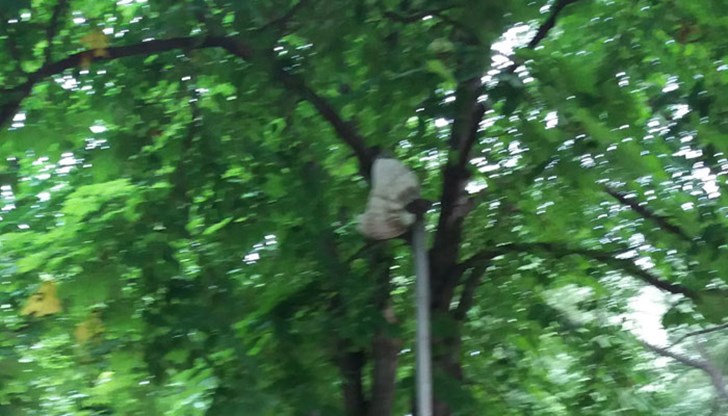 Агресията в Русе расте!