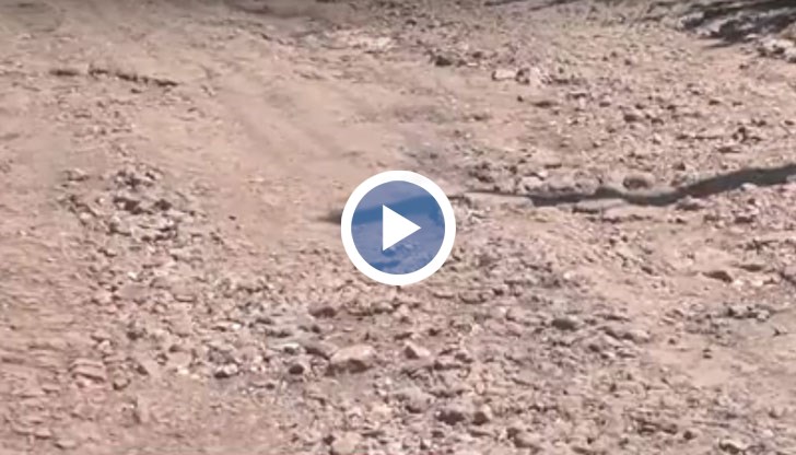 Жители на местността "Касева чешма" край Русе, от години сами поддържат улицата, на която живеят