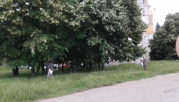 Освен, че е напълно безплатно, заниманието е приятно