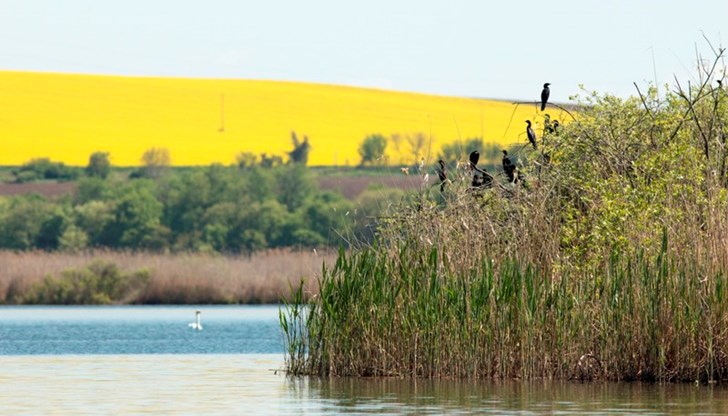 Членството към световната мрежа на биосферните резервати е международно признание