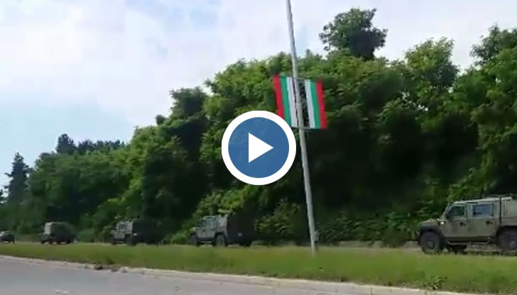 Причината да ги виждаме из града е строежът на логистична база в Николово