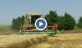 Градушката повреди житото в Русенско