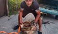 Гигантски сом извадиха от Марица