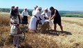 Жътва в Русенско