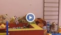 В Русе правят център за ранно детско развитие