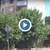 Махнаха само част от буйната растителност на улица "Струга" Махнаха само част от буйната растителност на улица "Струга"