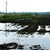 Повече от 5000 декара земеделски площи наводнени в русенско