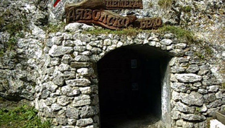 Вие били ли сте сами посред нощ в гората?