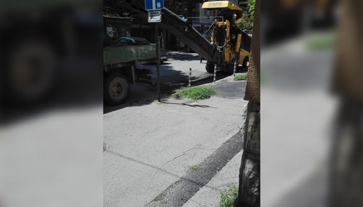 В Япония дават 5 години затвор за необосновано отсичане на дърво, ако и тук беше така...