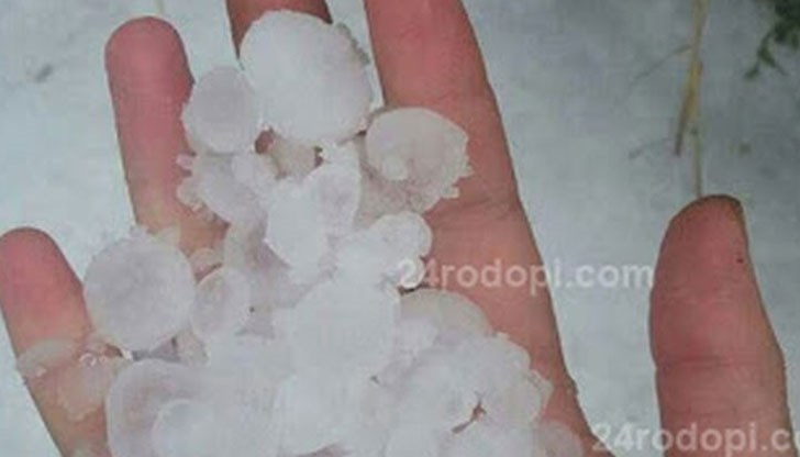 90 на сто от тютюневата реколта е съсипана