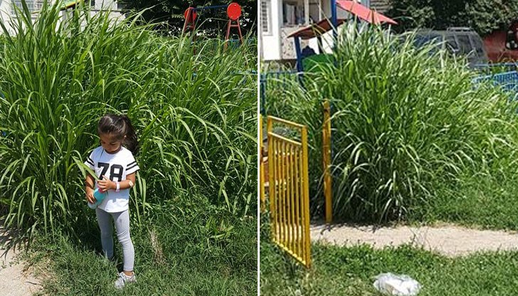 Така изглежда детската площадка пред блок 119 в квартал "Чародейка" в Русе