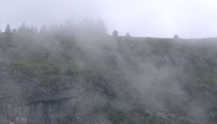 Приятелите му, които до вчера също обикаляха наоколо, вече са обезверени Приятелите му, които до вчера също обикаляха наоколо, вече са обезверени