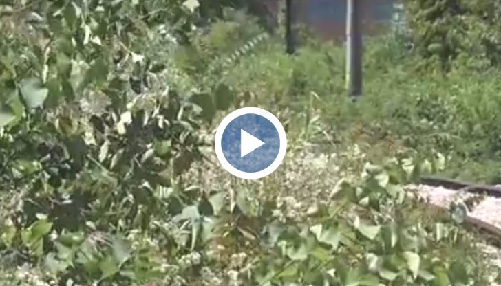 Русенци масово пресичат релсите на забранени места, а сега нямат и видимост