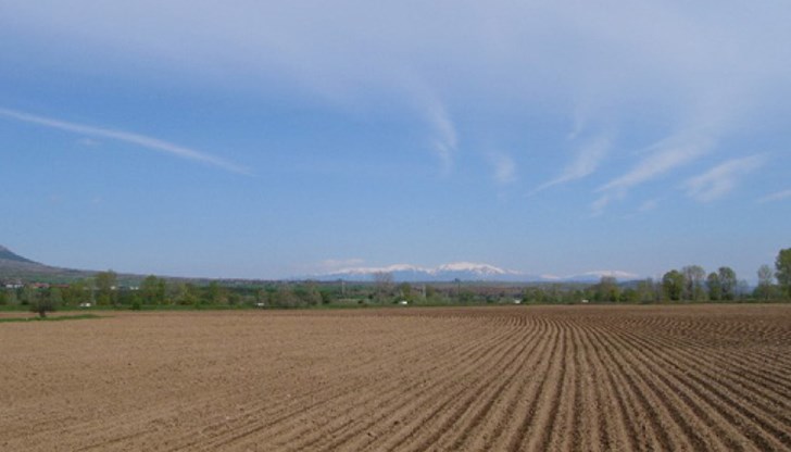 Фирми и граждани от ЕС да могат да придобиват безпрепятствено ниви, ливади и градини в България Фирми и граждани от ЕС да могат да придобиват безпрепятствено ниви, ливади и градини в България