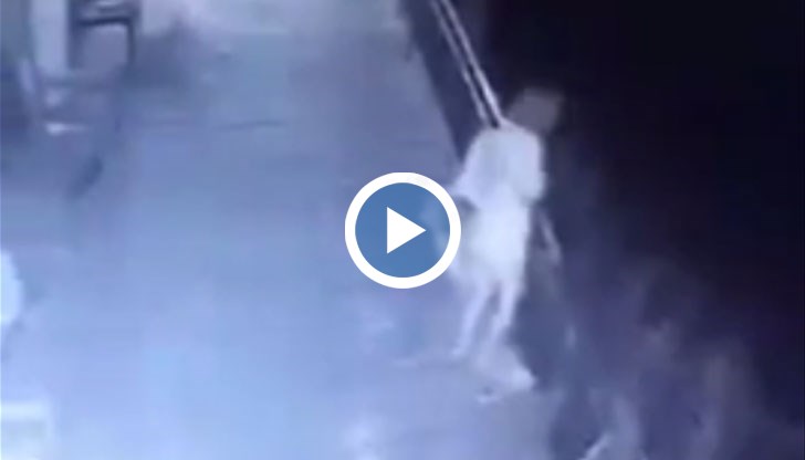 Съседи заснеха как мъжът първо изхвърля телефона на жената, а после и нея самата