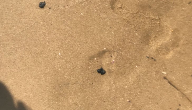 Обходена е цялата плажна ивица и е установено наличие на малки топчета от втвърден мазут, на места примесен с водорасли