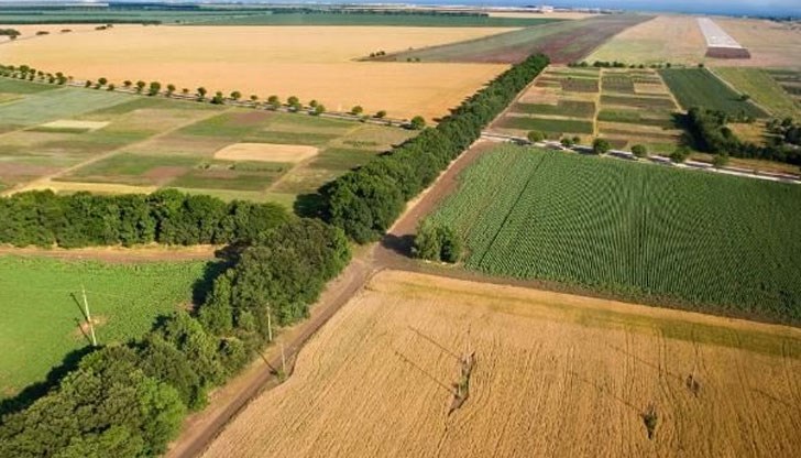 Не е нужно да са пребивавали в България повече от 5 години