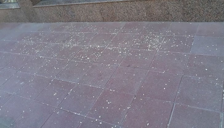 Деца залепиха бележка в парка срещу посетителите, които само замърсяват / Снимката е илюстративна