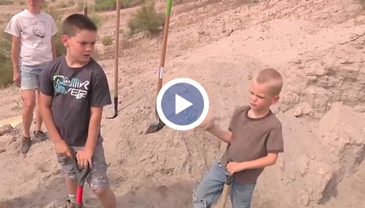 Първоначално решили, че това са останки от крава