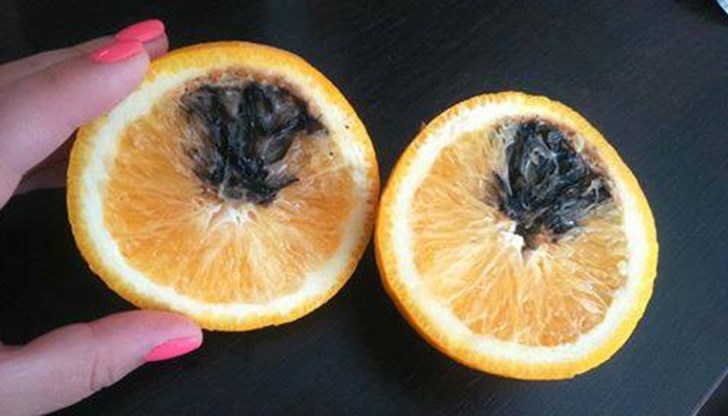 Нормално ли е да изглежда по този начин?