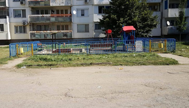 Днес може да похвалим Община Русе за бързата реакция