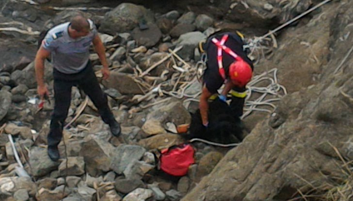 Кучето е паднало преди два дена на място, от което няма как да се изкачи само