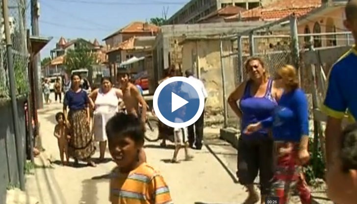 Полагат се специални грижи за ромчетата и родителите им - дали си заслужават ...