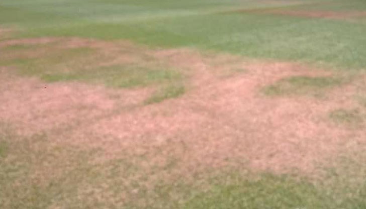 Чия е отговорността, е спорно... Чия е отговорността, е спорно...