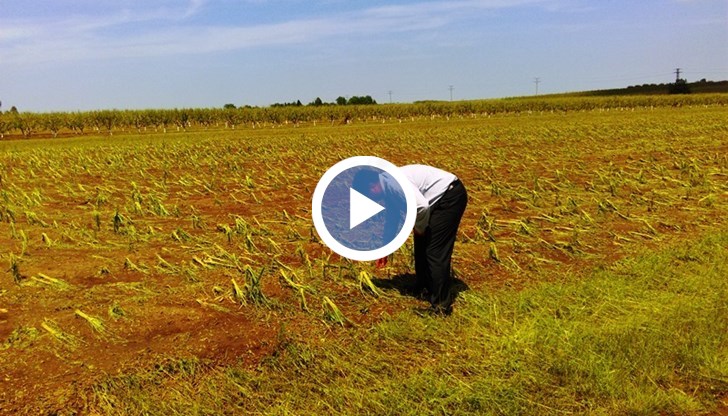 Всеки от земеделците ще бъде посетен, за да се установят щетите
