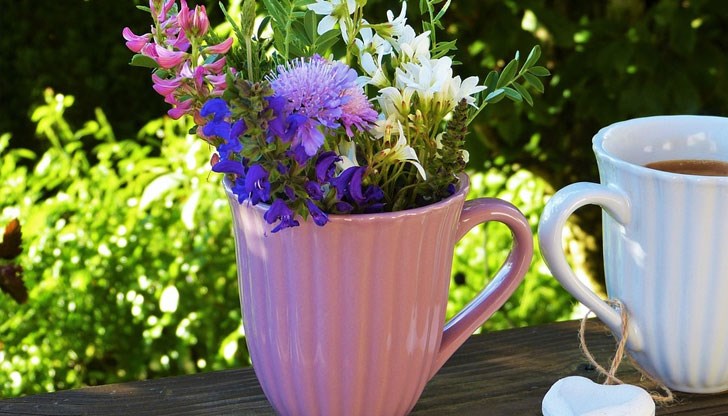 Прекрасен и ползотворен вторник! Прекрасен и ползотворен вторник!