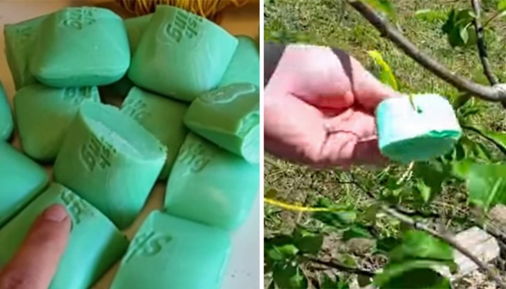 Трябва ви само най-обикновен сапун Трябва ви само най-обикновен сапун