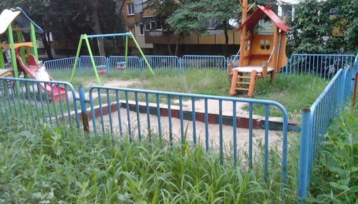 Децата може да играят на криеница в тази трева?!