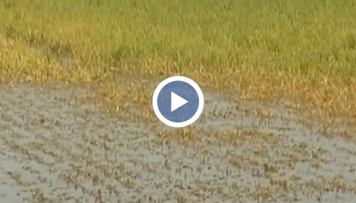 Още 130 000 декара са унищожени частично