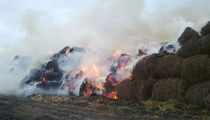 Причината за пожара не е установена /Снимката е илюстративна/