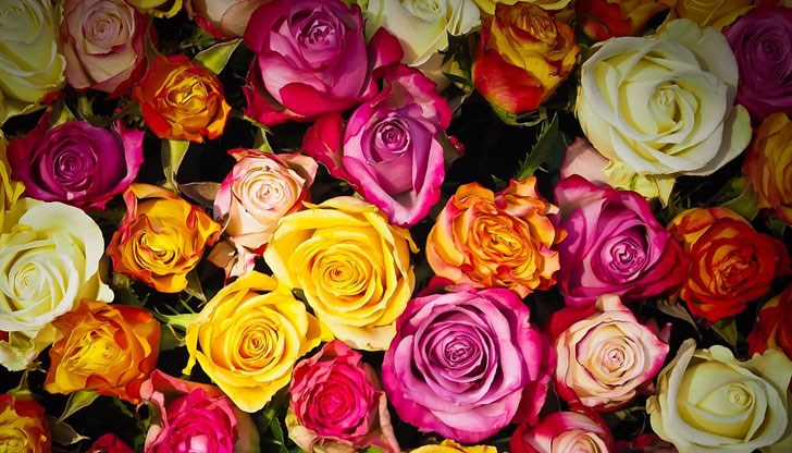 Православната църква почита св. Пантелеймон Православната църква почита св. Пантелеймон