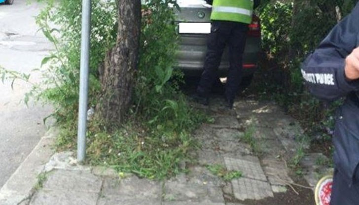 Всички разумни опити от 27 г. преход да станем като европейците по пътищата бяха зачертани Всички разумни опити от 27 г. преход да станем като европейците по пътищата бяха зачертани