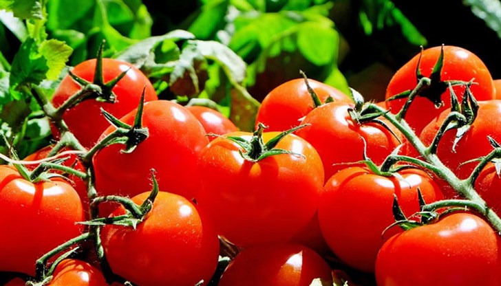 По този въпрос има няколко противоположни становища