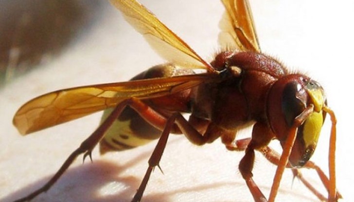 Образувано е следствено дело