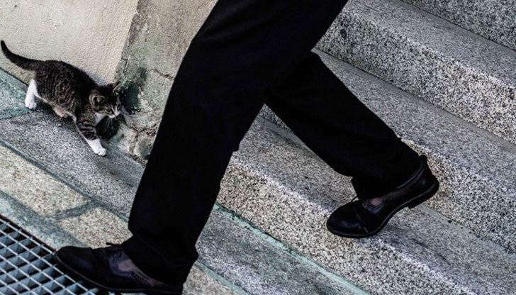 Системата може лесно да се монтира върху налично стълбище