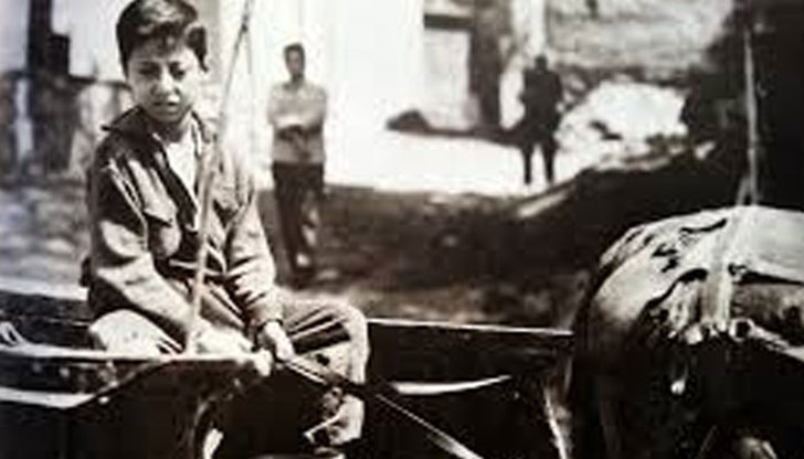 Ромското включване явно е твърде костелив орех, с който не се справи дори смазаната комунистическа машина Ромското включване явно е твърде костелив орех, с който не се справи дори смазаната комунистическа машина