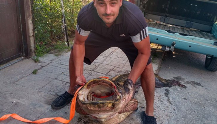 Около 40 минути продължила битката с водния звяр