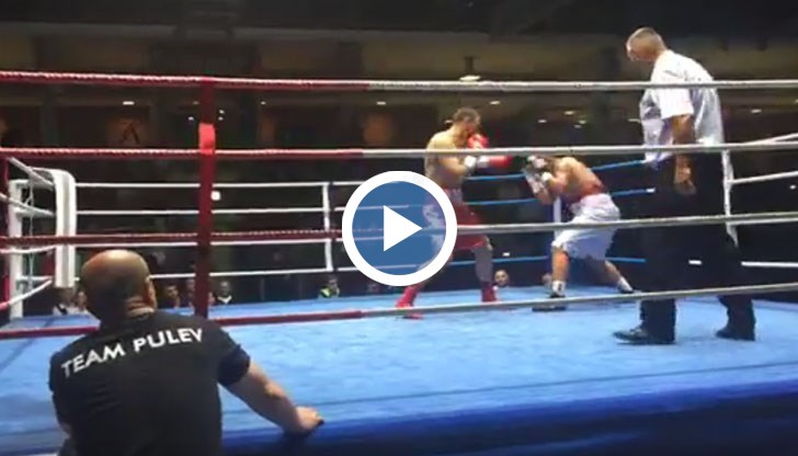 Четвърта поредна победа за Тервел в професионалния бокс - с четвърти нокаут