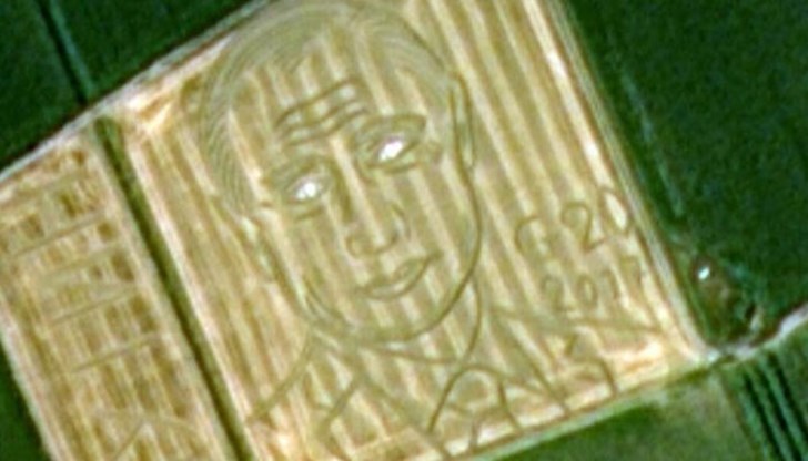Портретът е създаден върху пшенично поле близо до Верона
