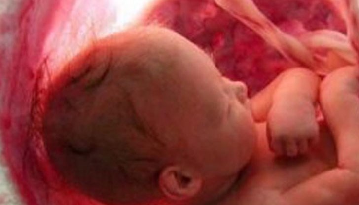 Много неща се изписаха за нея, които нямат абсолютно никакво значение